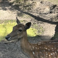 Фото отзыва 3: экскурсия "Красота Брестской земли: Беловежская пуща и не только за 1 день"