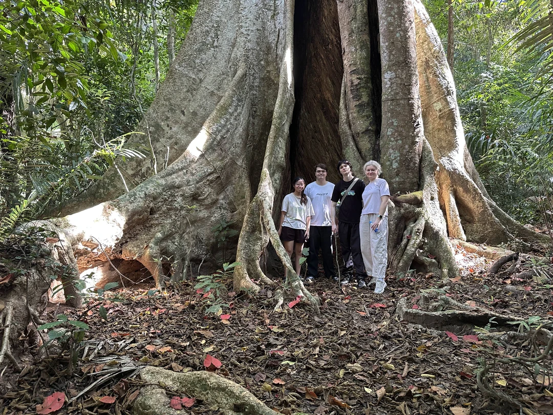 Экскурсия соответствует описанию - пеший поход около 2-х часов по джунглям (но не по непролазным зарослям