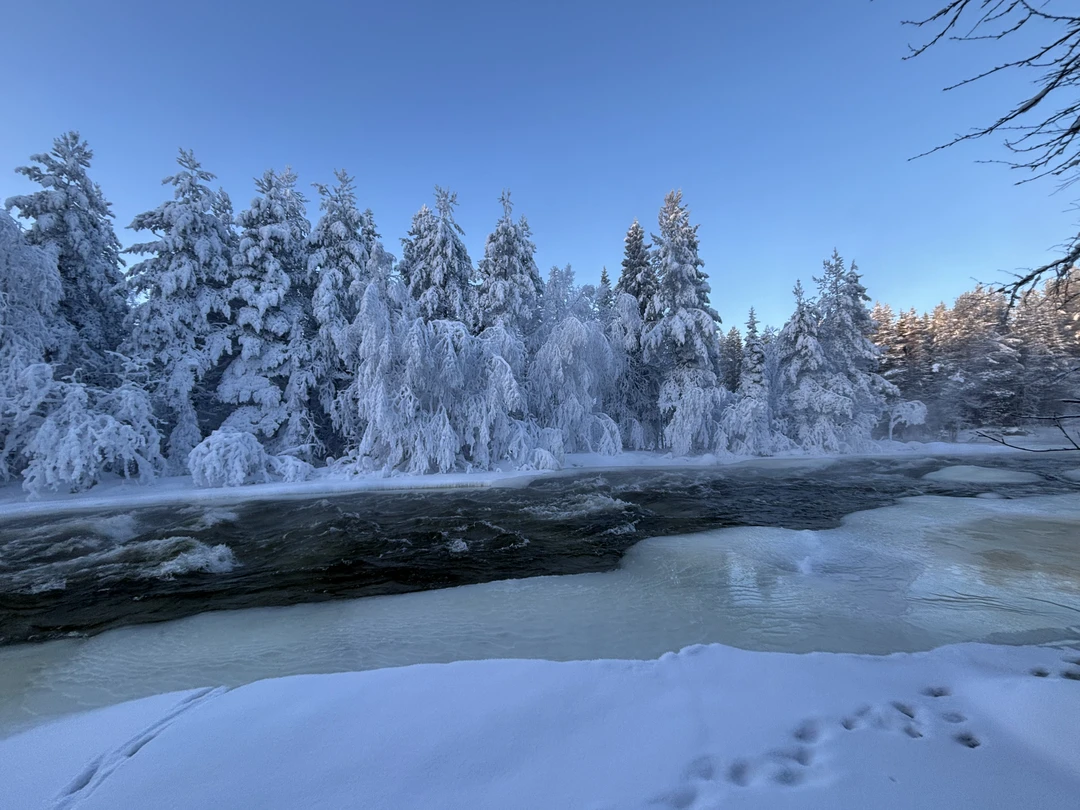 Зимняя природа Севера! После поездки и не знаю, что может быть прекраснее! Дмитрий был нашим гидом