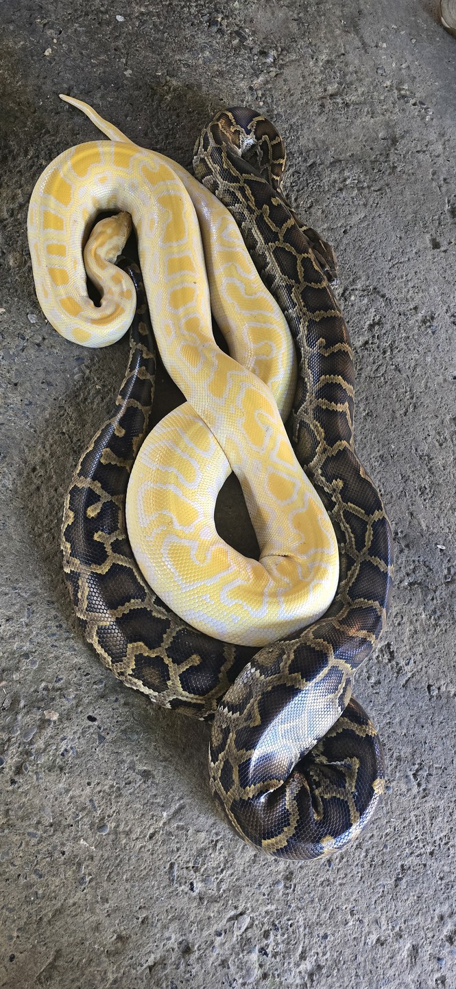 Бохол: волшебство природы (Елена)