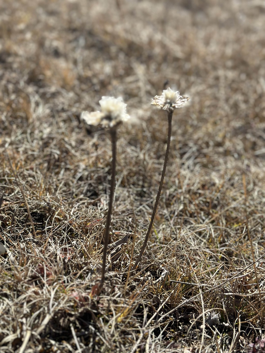 Поездка навсегда останется в сердце! И как же в ней все зависит от людей!