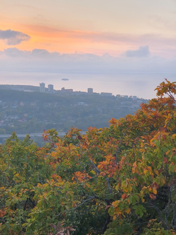Виды Скала Роза ветров и ботанический сад во Владивостоке