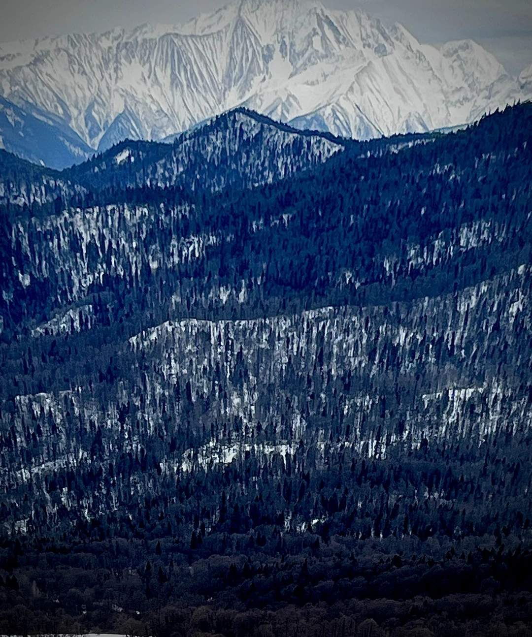 Экскурсия очень понравилась, не сложный маршрут, гид приехал вовремя, очень грамотно и интересно рассказывает, если будем