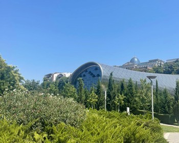 Гамарджоба, Грузия