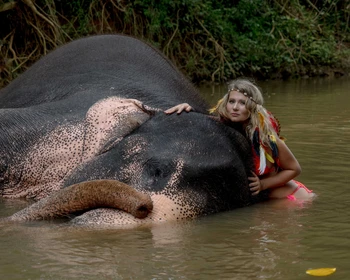 Слоновий питомник, храм в Дамбулле, крепость Сигирия