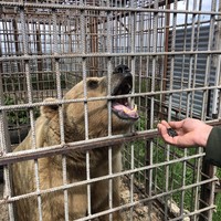 Фото отзыва 3: экскурсия "Горные окрестности Кисловодска и долина Волков за 1 день!"
