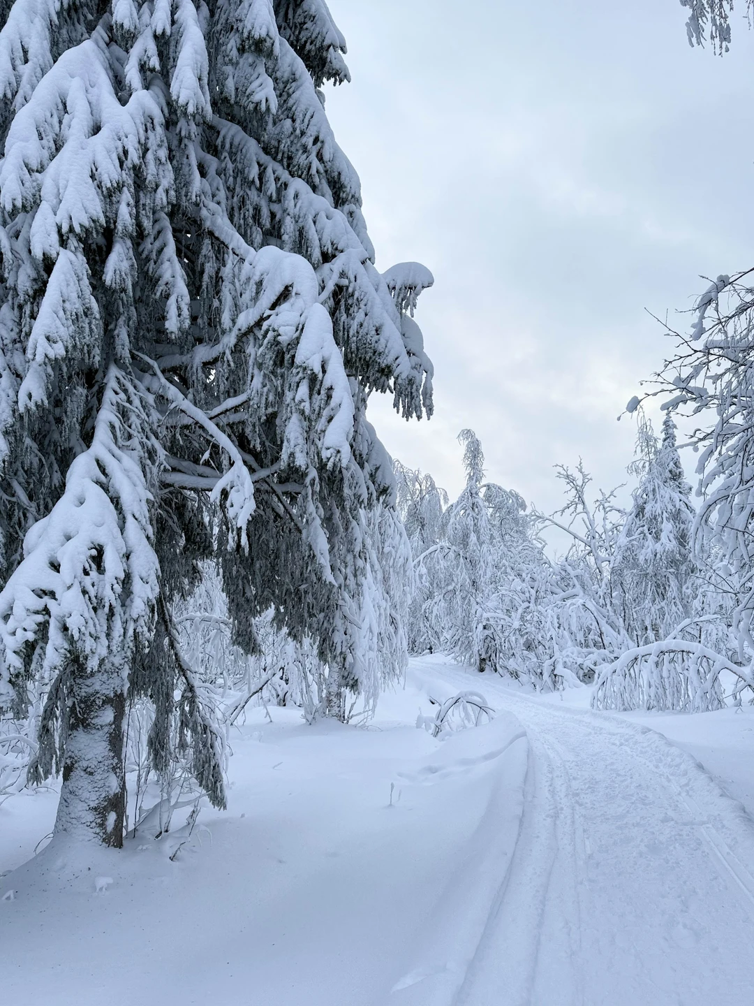 Наконец, добрались домой. Пришло время отзыва