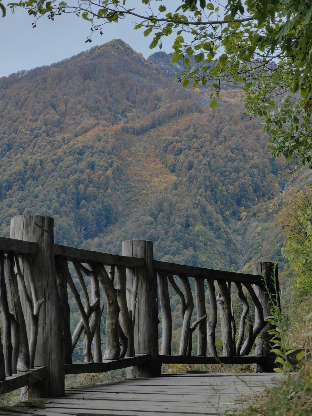 В «Розу Хутор» — через посёлок Красная Поляна (14/21)