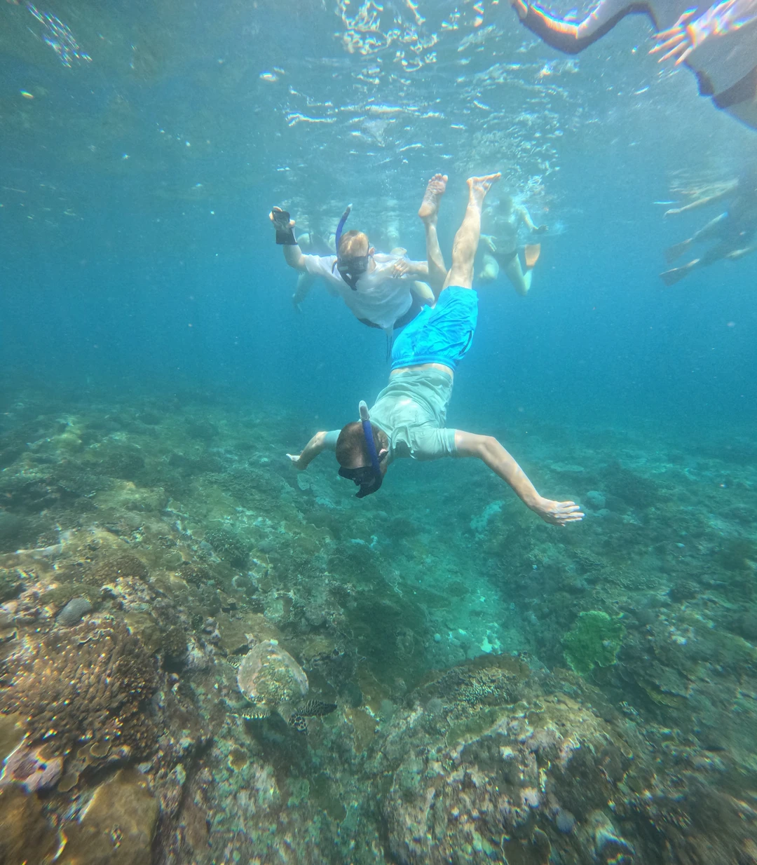 Очень поправилось. Часть со снорклингом очень классная, наш гид идеально привез нас в места, отводил(отплывал нас?)