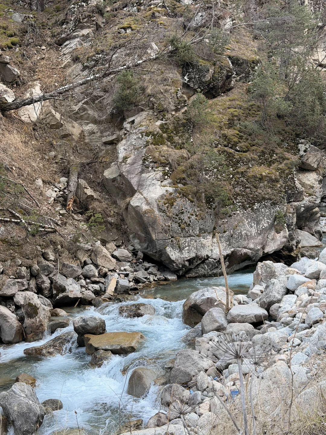 Озеро Гижгит и «гора богов» Эльбрус: из Кисловодска в мини-группе (Мария)