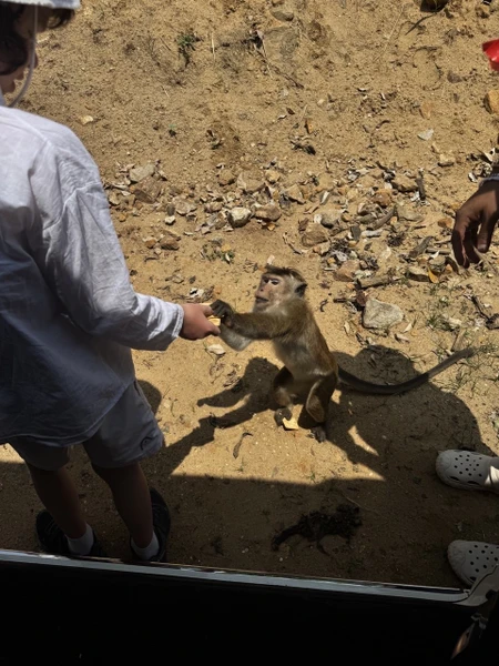 Просто прекраснейшая экскурсия!