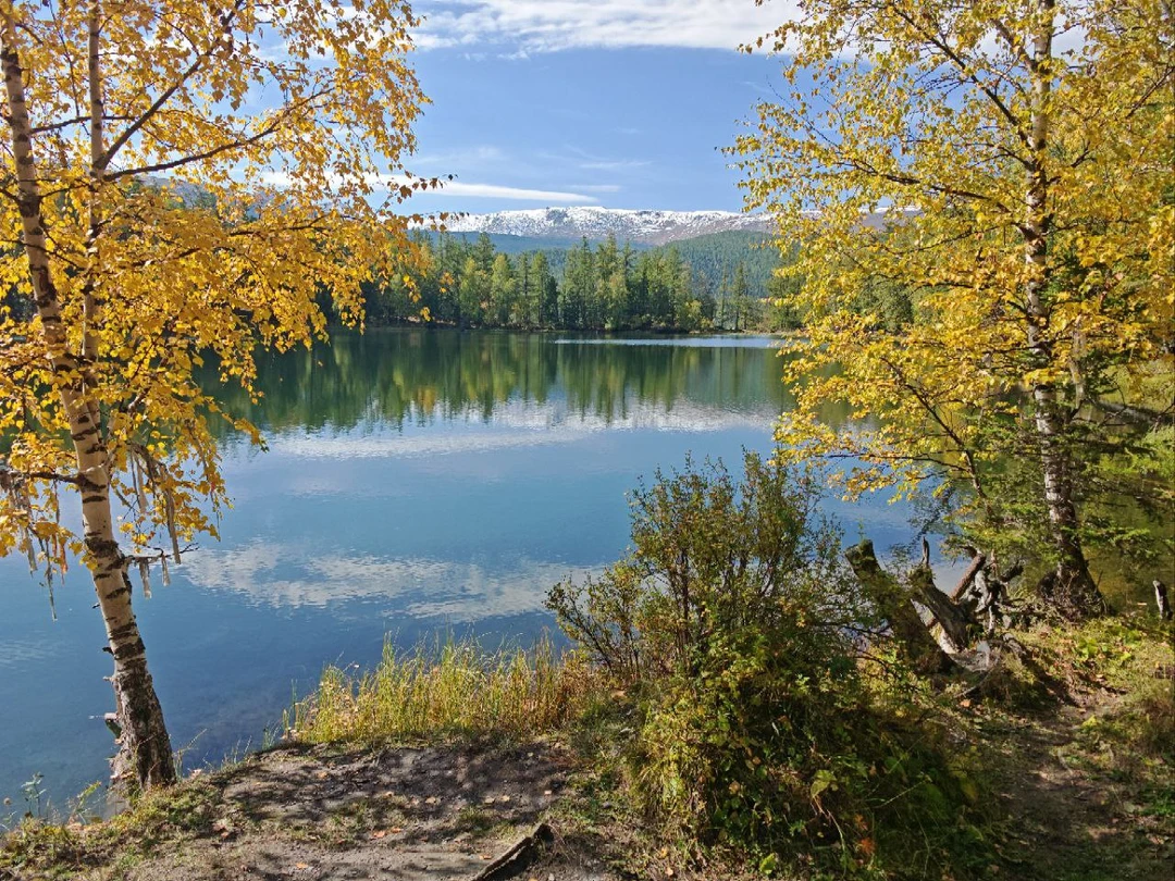 Экскурсия была супер. Гид замечательный. Не чувствовалось переутомление от получаемой информации. Видели удивительные места. Маршрут не