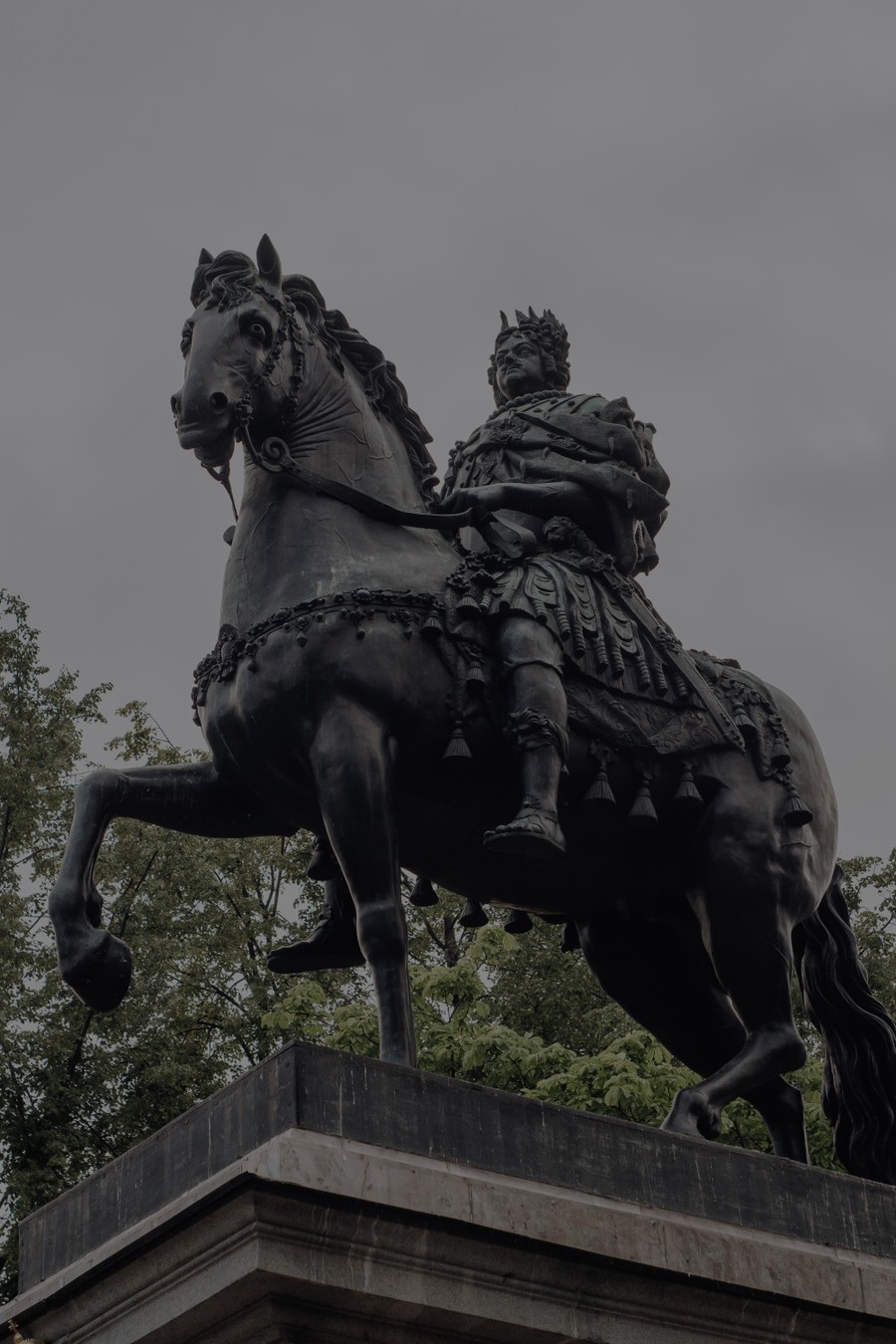 От кошек до слонов: семейное путешествие по Петербургу (8/8)