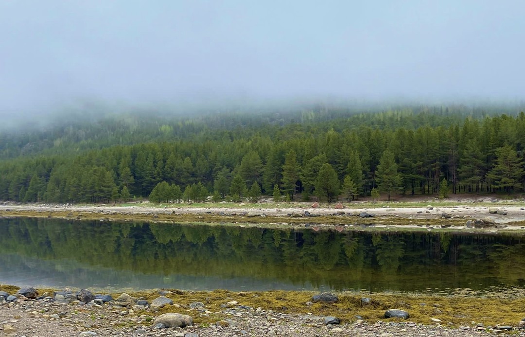 Душевная экскурсия-прогулка по живописной лесной тропе, бесподобные морские виды в легкой туманной дымке. В ходе экскурсии
