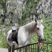 Фото отзыва 2: экскурсия ""