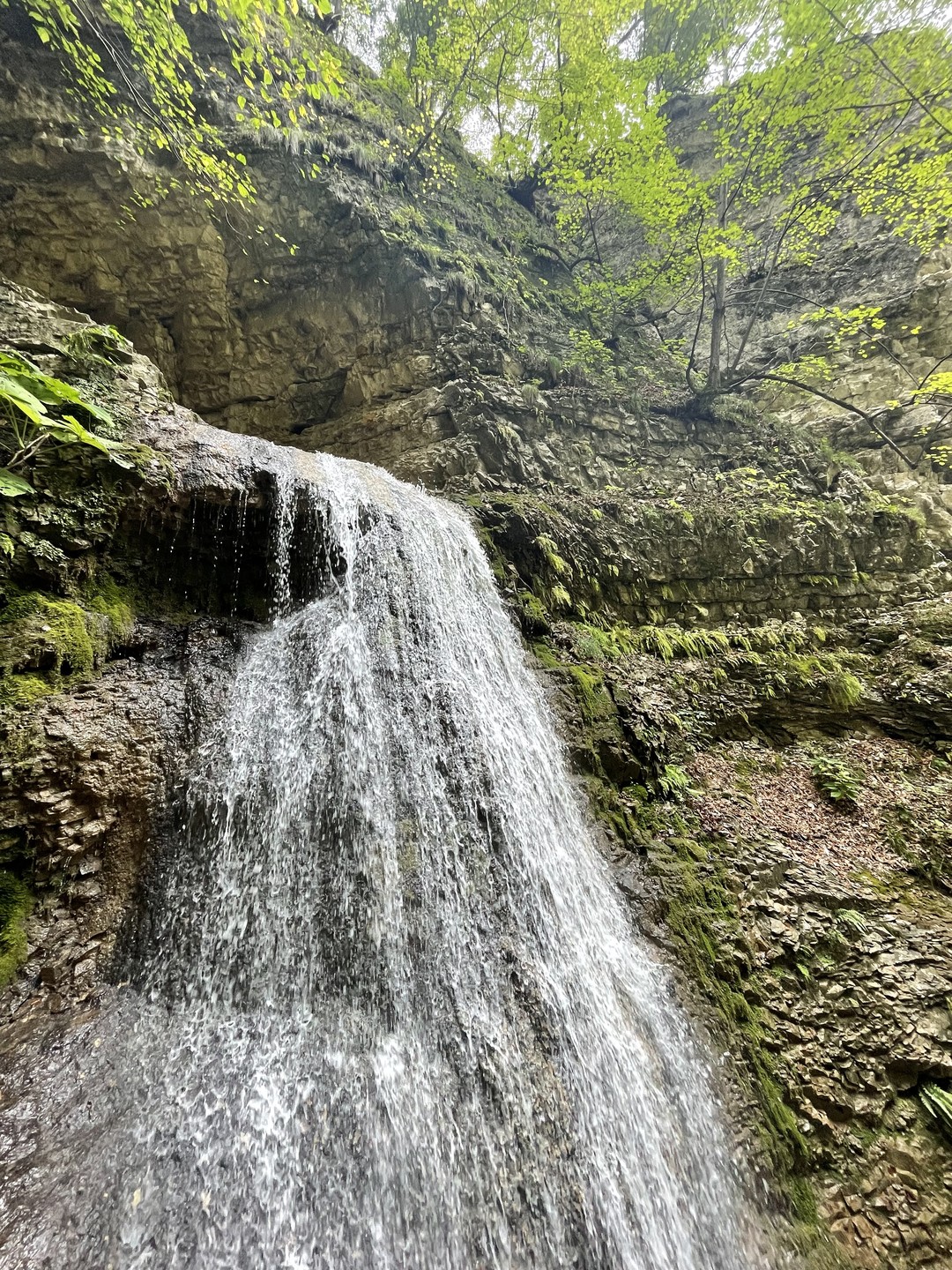 Отличный гид, красивые виды.