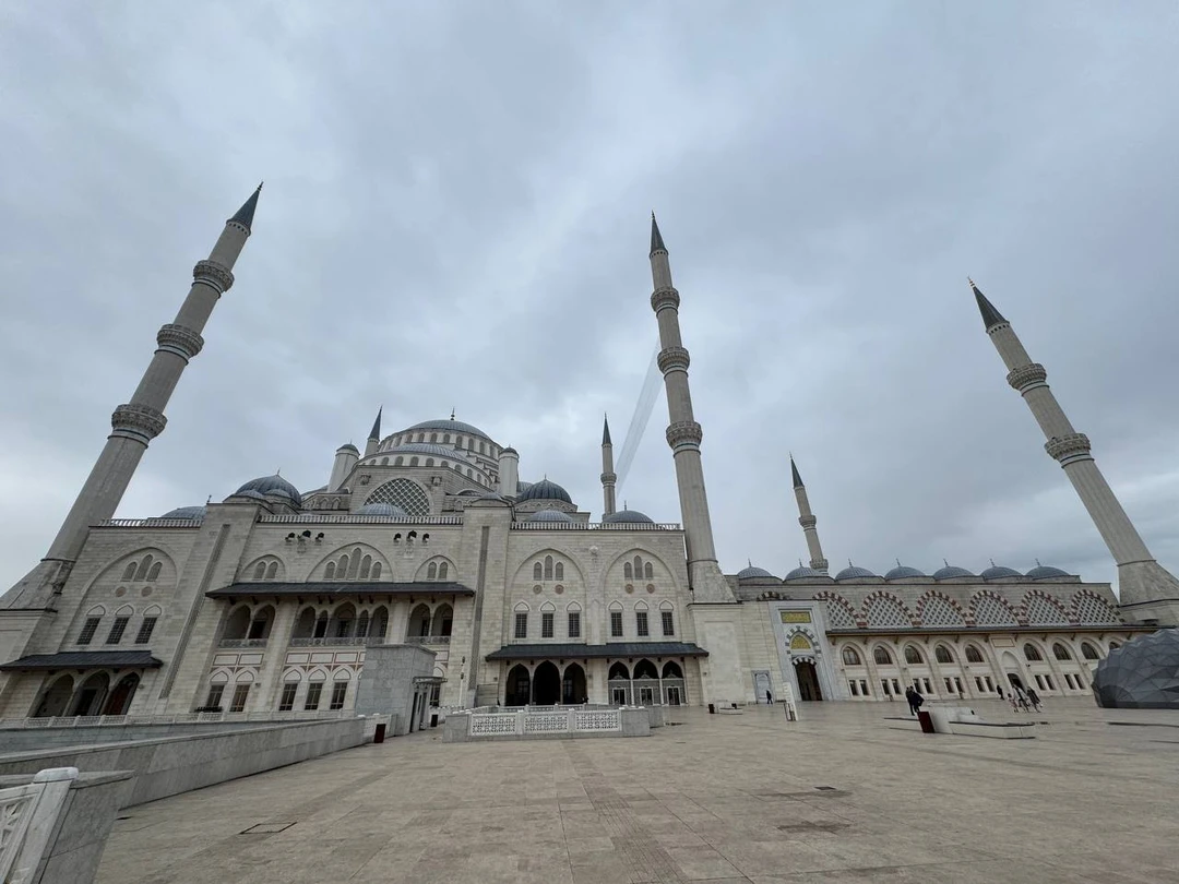 Брали экскурсию большое путешествие по Стамбулу с завтраком и обедом. Из отеля и обратно до отеля