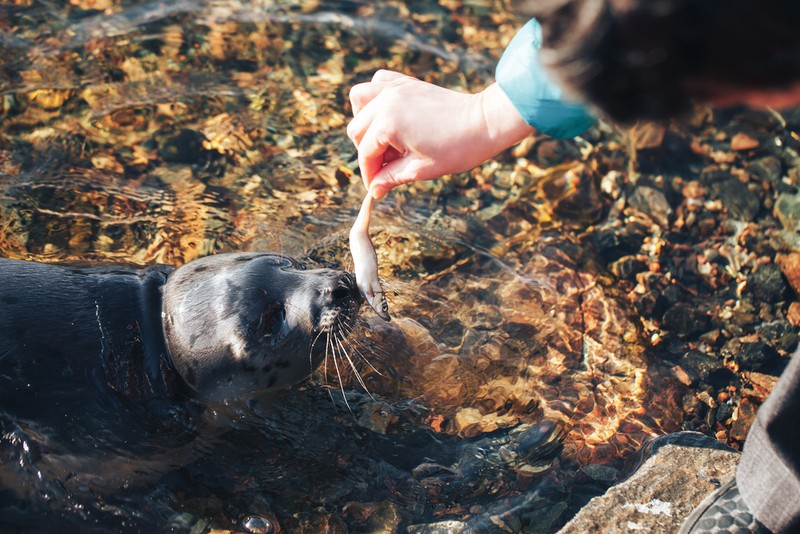 2 дня - 2 моря: к берегам Баренцева и Белого в мини-группе