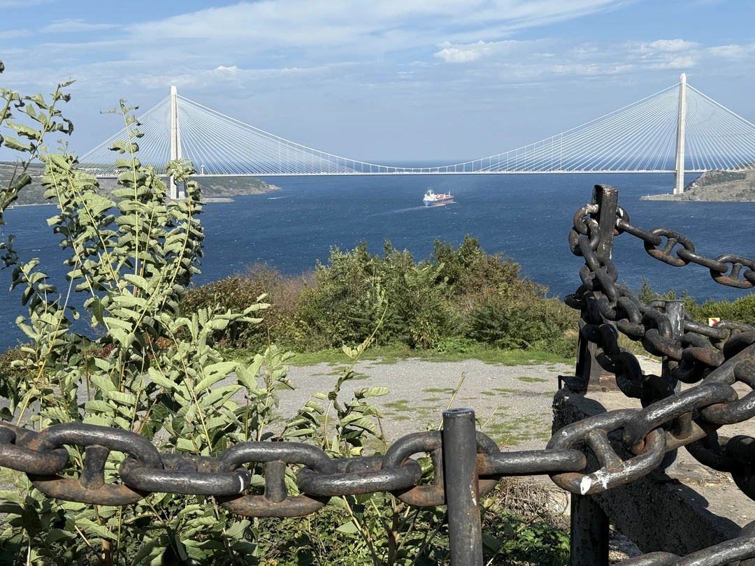 Большое спасибо за прекрасную экскурсию. Чудесная девушка Мона приехала вовремя и много нам интересного рассказала и показала