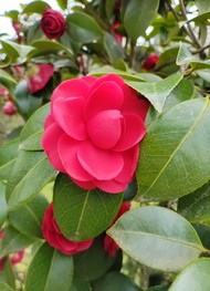 Фото отзыва 1: экскурсия "Познавательная прогулка по Мацесте"