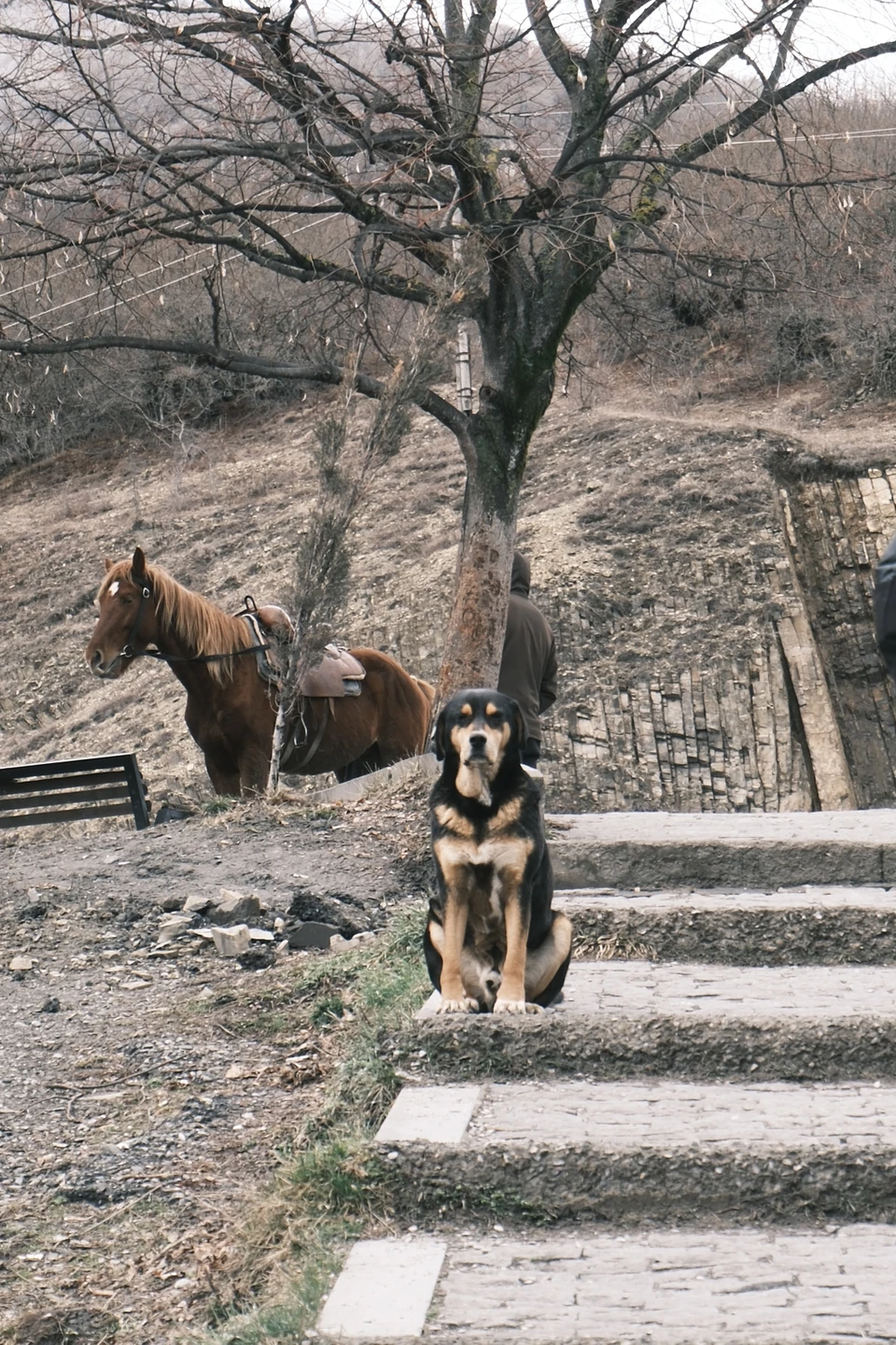 Хочется выразить отдельную благодарность нашему гиду Марьям. Была очень внимательна к каждому туристу, очень интересно рассказывала
