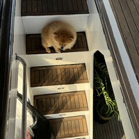 Фото отзыва 3: экскурсия "Обзорная групповая прогулка по Босфору на великолепной яхте"