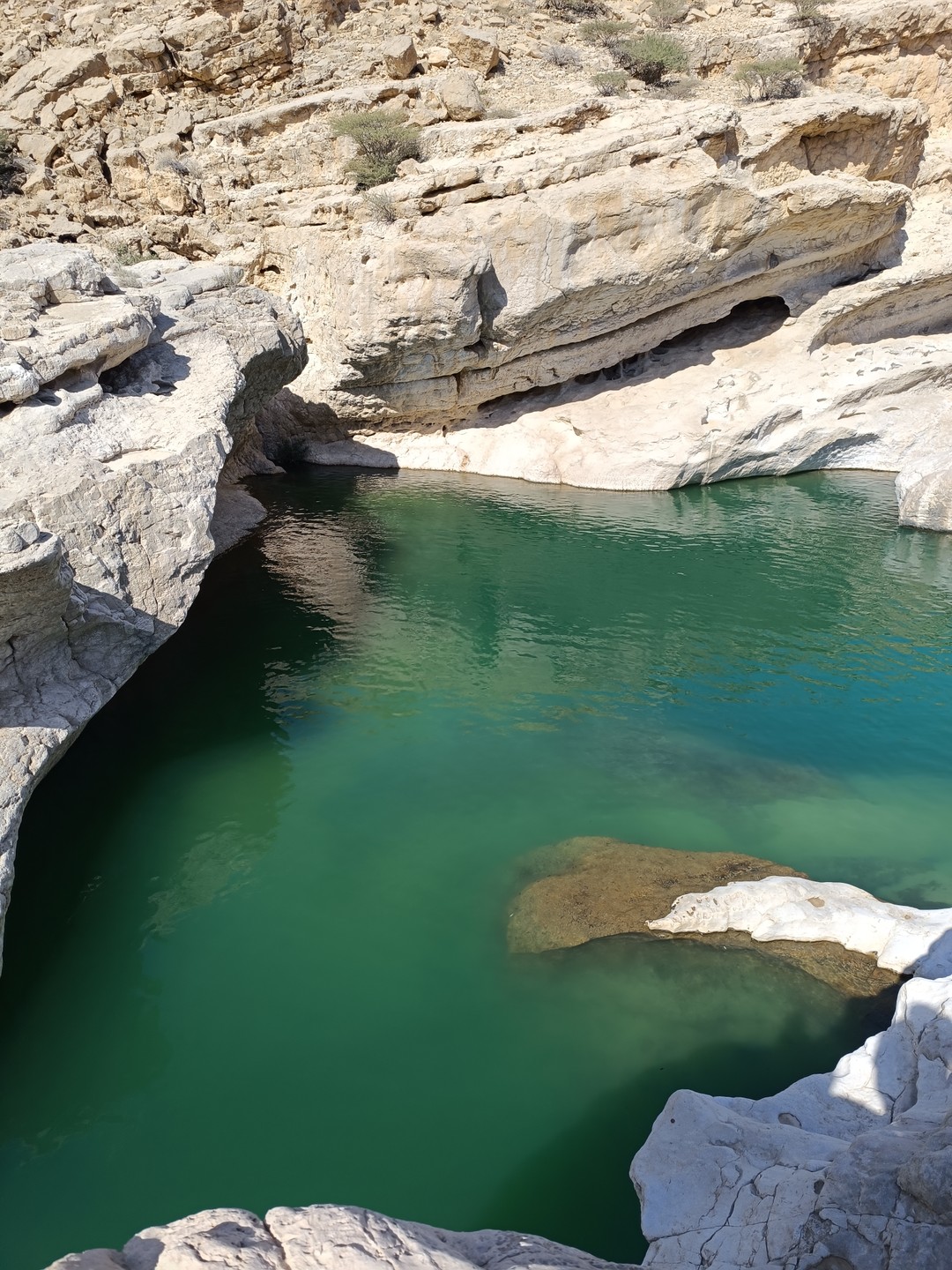 Пустыня Вахиба и оазис Вади Бани Халид (Татьяна)