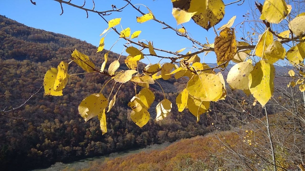 Путешествие в ущелье Дарданеллы — из Владивостока (6/7)