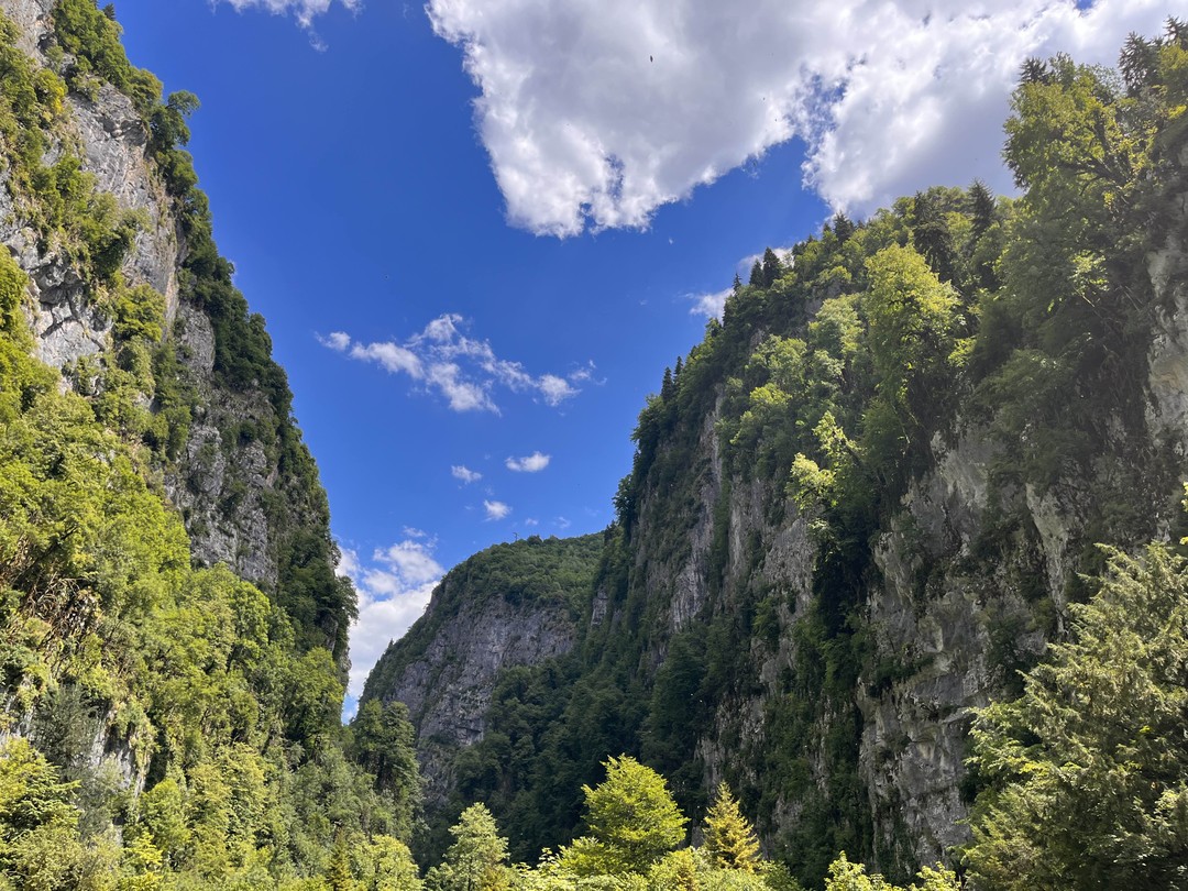 Очень Крутая поездка! Красивое Озеро Рица на котором можно поплавать на катамаране, горные реки водопады, голубое