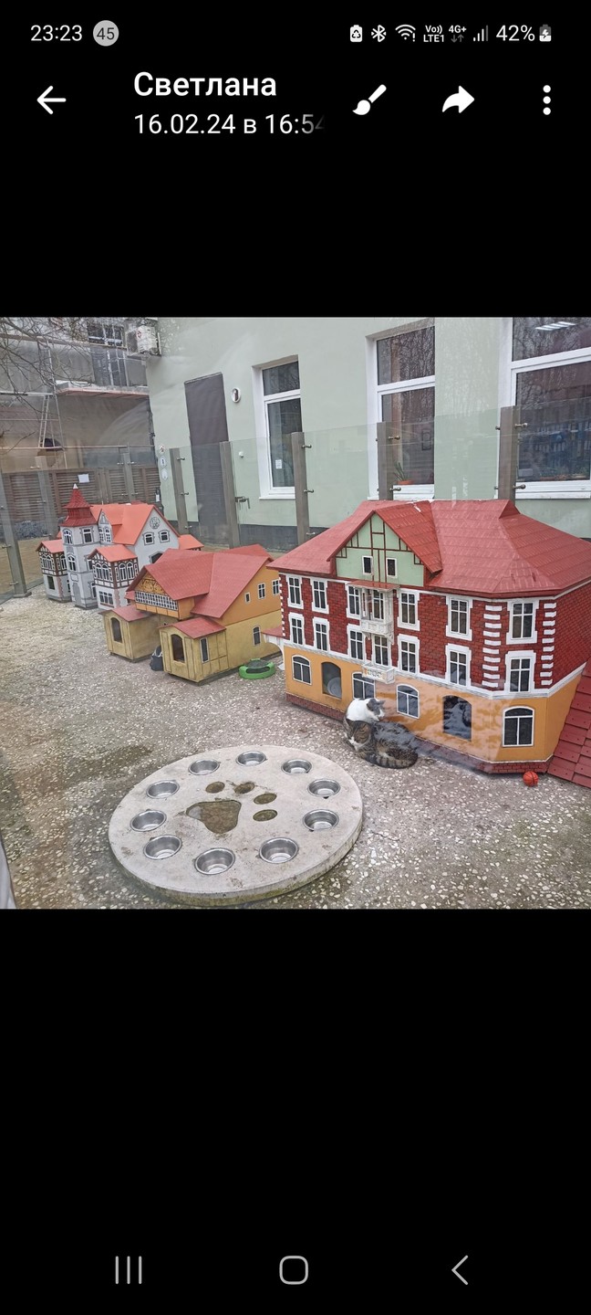 Куршская коса и Зеленоградск за 1 день (из Калининграда) (Жанна)