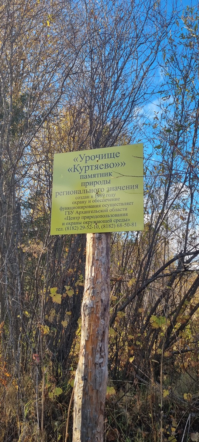 Урочище Куртяево - ещё одно чудо Севера (Наталья)
