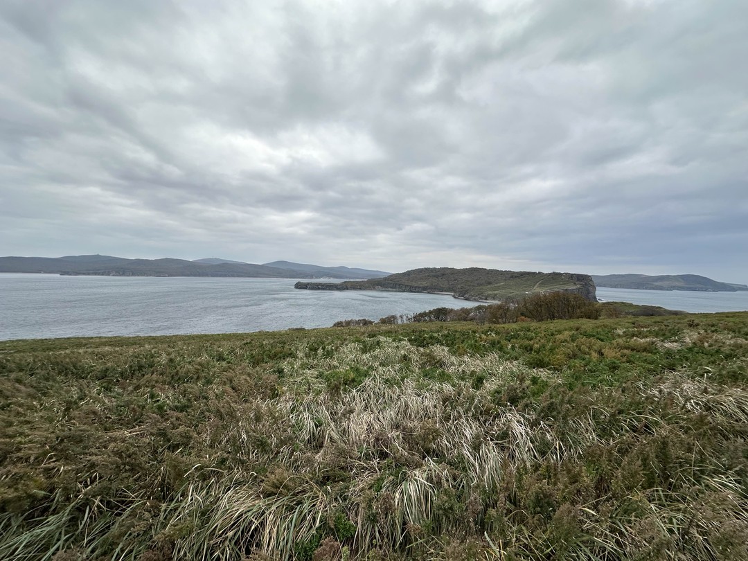 15.10.25 мы посетили экскурсию «Восточное побережье острова Русский». Спасибо Богдану за интересную экскурсию и рассказ. Было