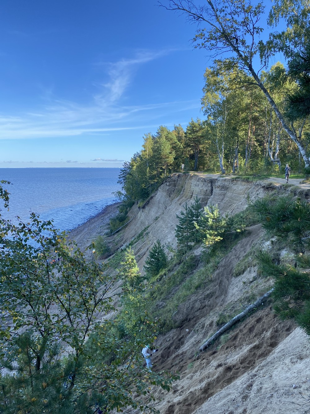 Кронштадтские виды и форты — на авто из Петербурга (12/19)