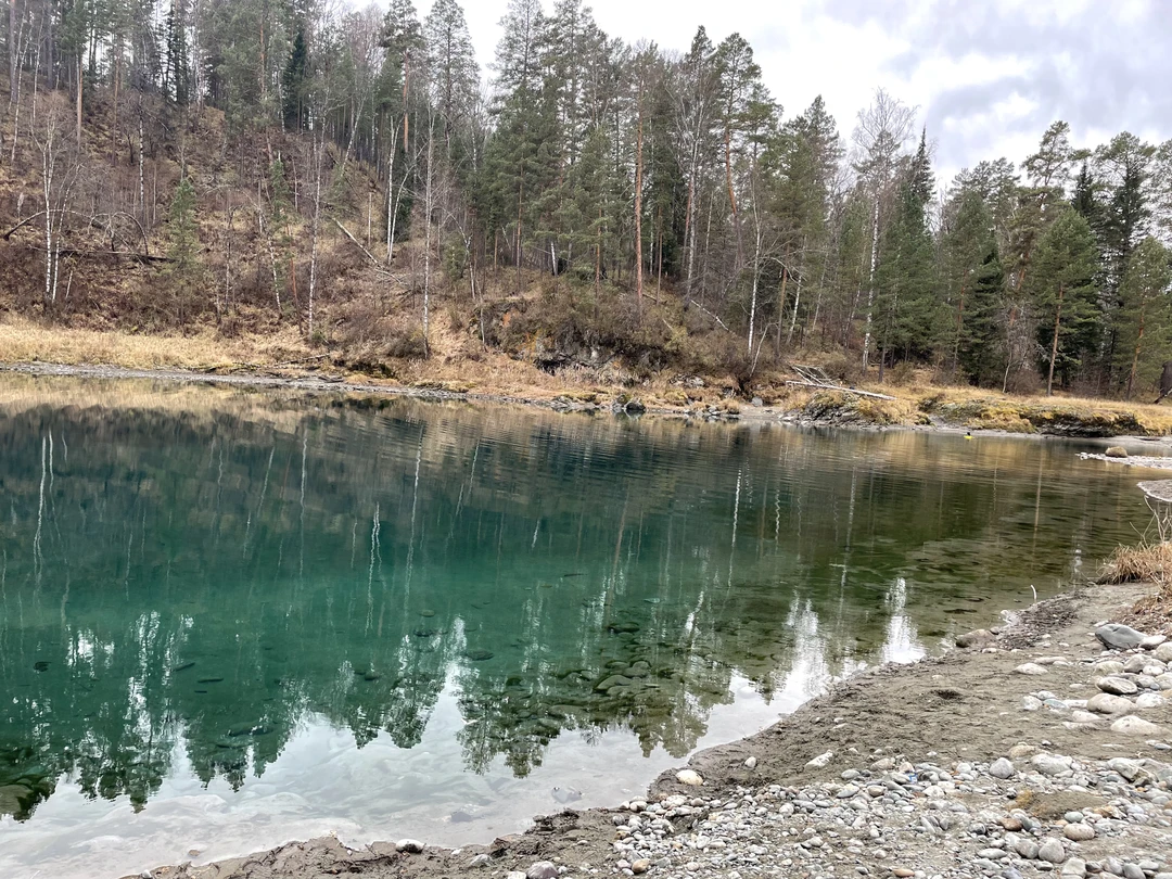 Экскурсию нам с подругой проводила Радмила, она забрала нас из отеля. Это была прекрасная поездка, было