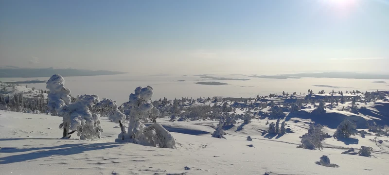 Экскурсия очень понравилась. Гид Эльдар интересно рассказывал об истории как Мурманской области в целом, так и