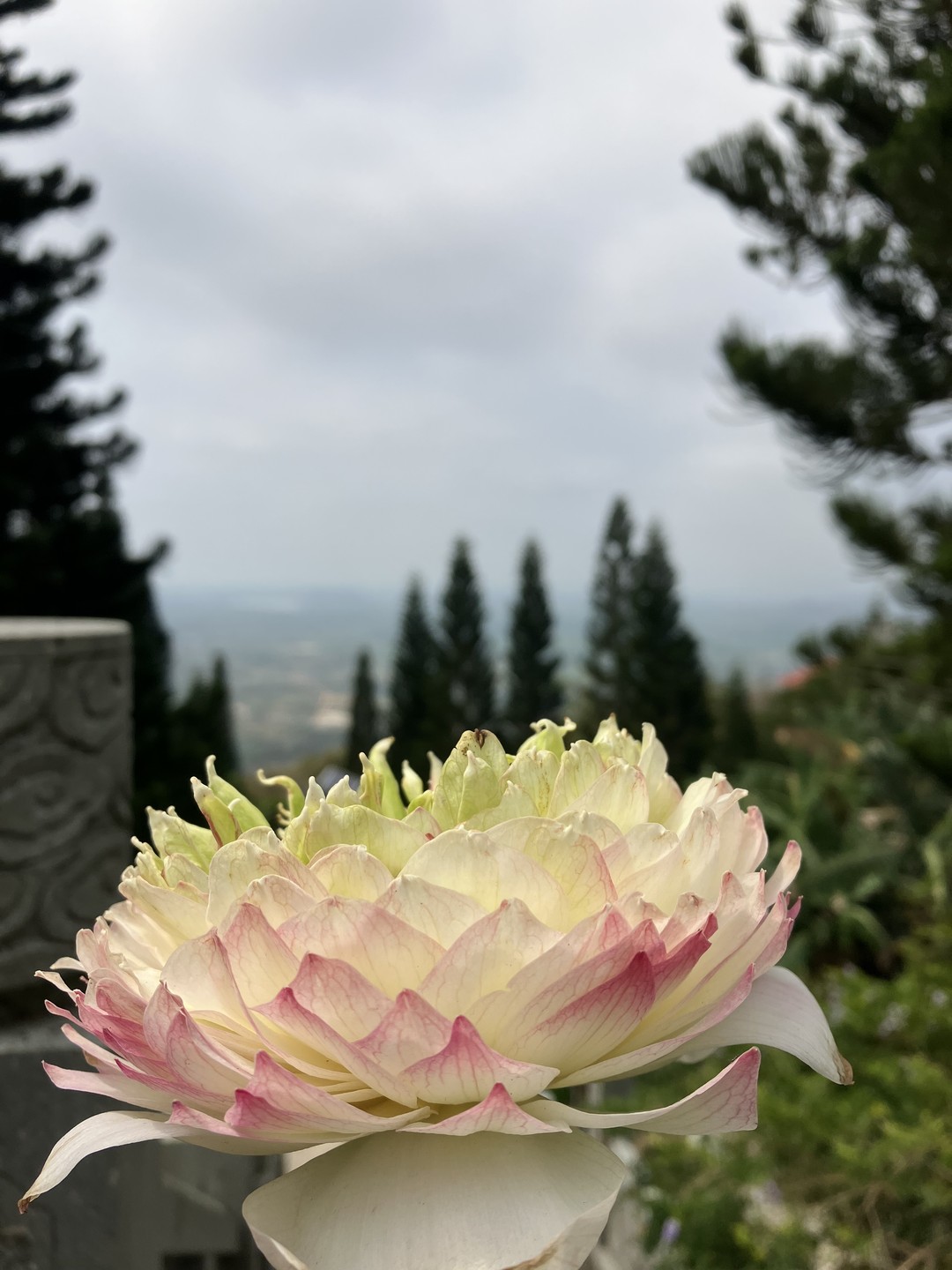 Приятное впечатление произвело и само посещаемое место (на горе Таку были впервые), и гид Александра. Понравилось