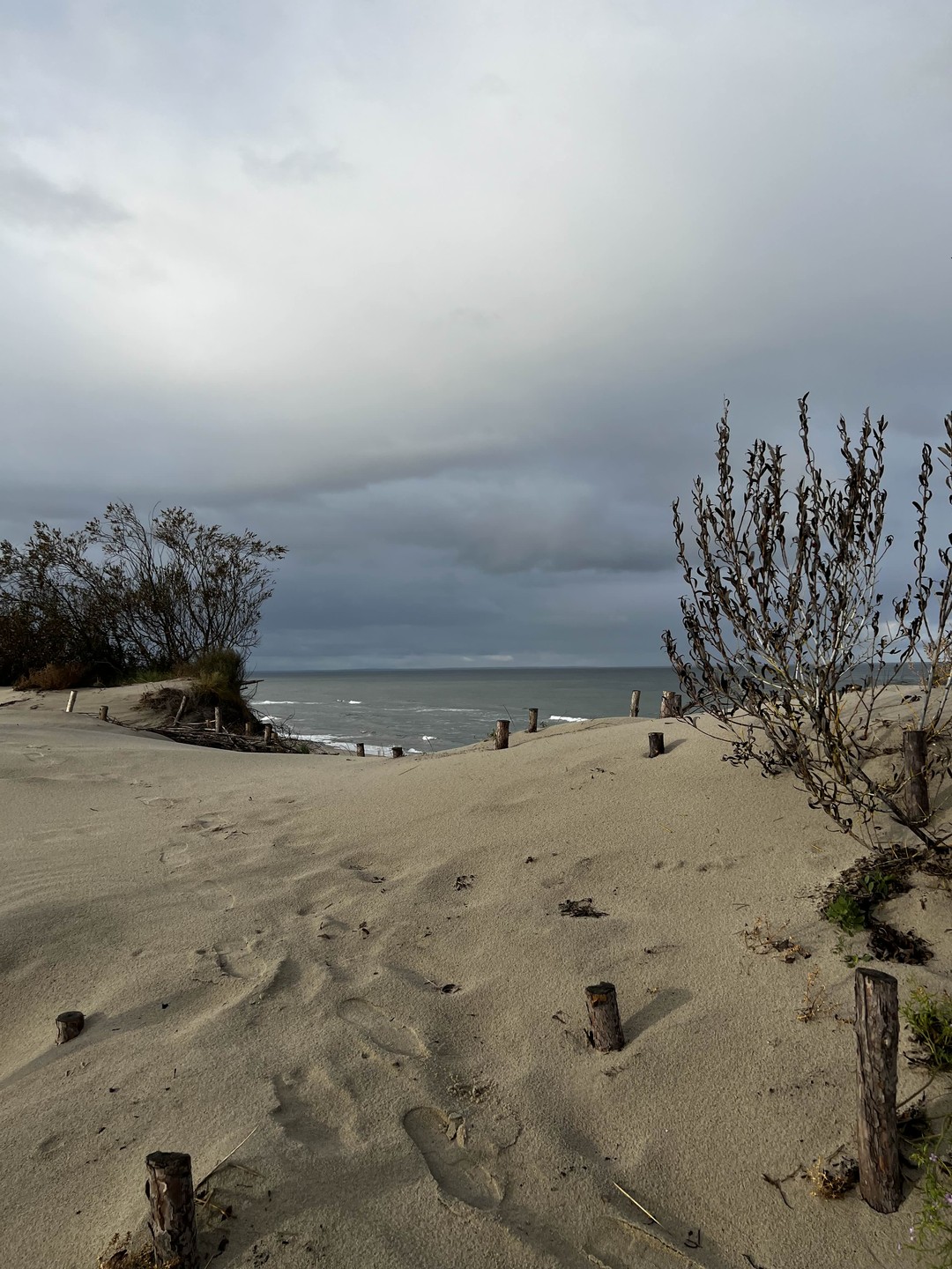 Комфортная поездка на Куршскую косу (Юлия)