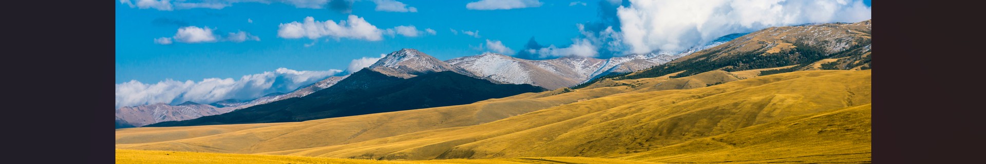 https://resize.tripster.ru/aUdPynok_yOgsa9HP9fh_rvoJ8c=/0x193:2879x673/1920x320/filters:no_upscale()/https://cdn.tripster.ru/photos/08c40a29-f3f9-414b-99f5-07ba84693f7e.png