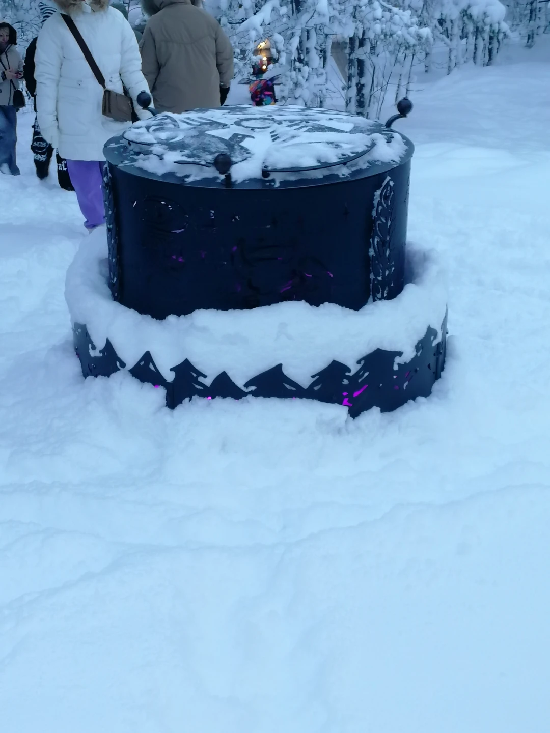 В первые были в Петрозаводске. Хотелось прочувствовать всю красоту природы этого края, поэтому выбрали данную экскурсию