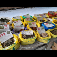 Фото отзыва 7: экскурсия "Из Иркутска — в Аршан, к подножию сибирских Альп"