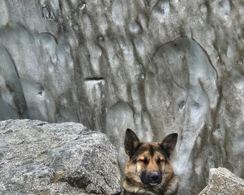 Путешествие в мир Средневековья