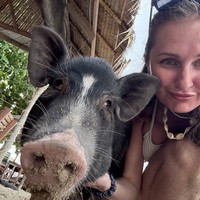 Фото отзыва 1: экскурсия "Индивидуальная морская прогулка со снорклингом и остановкой на Pig Island"