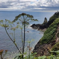 Фото отзыва 5: экскурсия "Мыс Великан и мыс Птичий: путешествие в мини-группе"