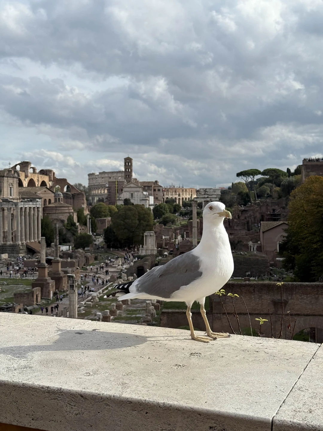 Отличная экскурсия по не банальному маршруту. Юлия отличный рассказчик с богатыми знаниями. Те, кто хочет узнать