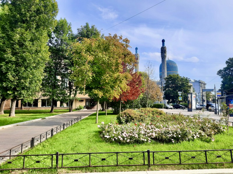 По Петроградской стороне — путём Петра