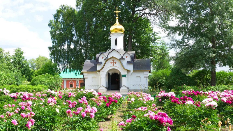 Фото экскурсии 6