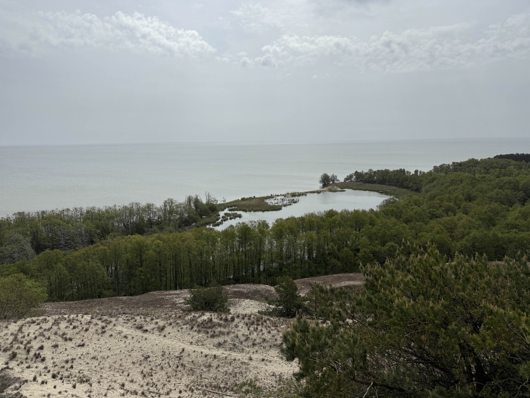 Куршская коса, Зеленоградск и замок Нессельбек - влюбиться за один день (Антон)