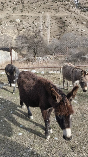 Все отлично. Поездка с Евгением прошла увлекательно, вкусно, интересно и весело - исторические аспекты, легенды, рассказы