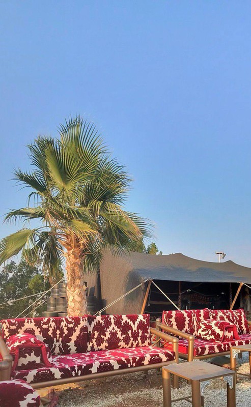 Из Джидды - в гости к арабским скакунам (и не только!)