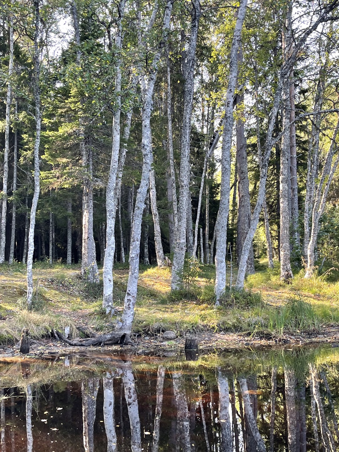 Путешествие закончилось и теперь можно эмоции трансформировать в слова и слова составить в предложения благодарности за